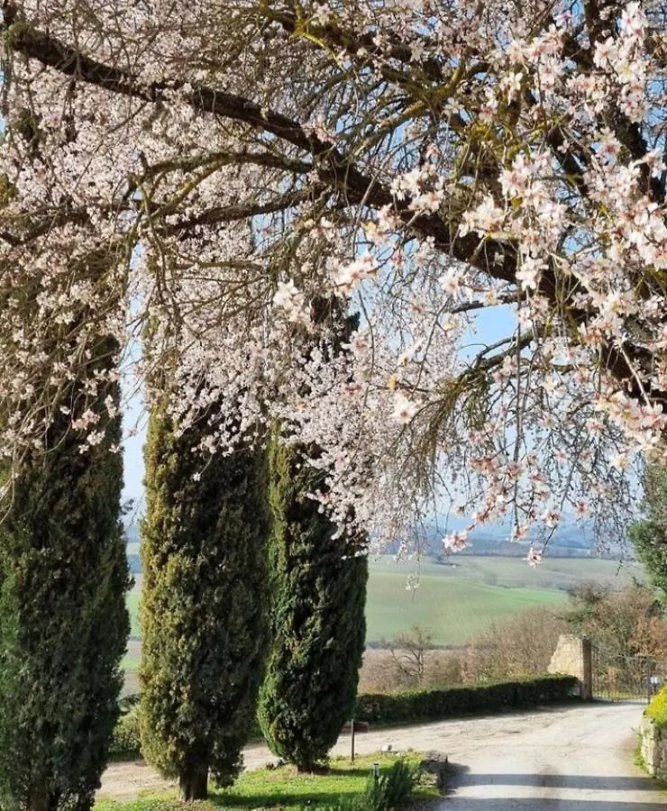 Landhuis Relais CastelBigozzi Pension Monteriggioni